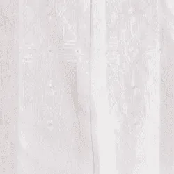 Men’s Embroidered shirt “Syayvo”